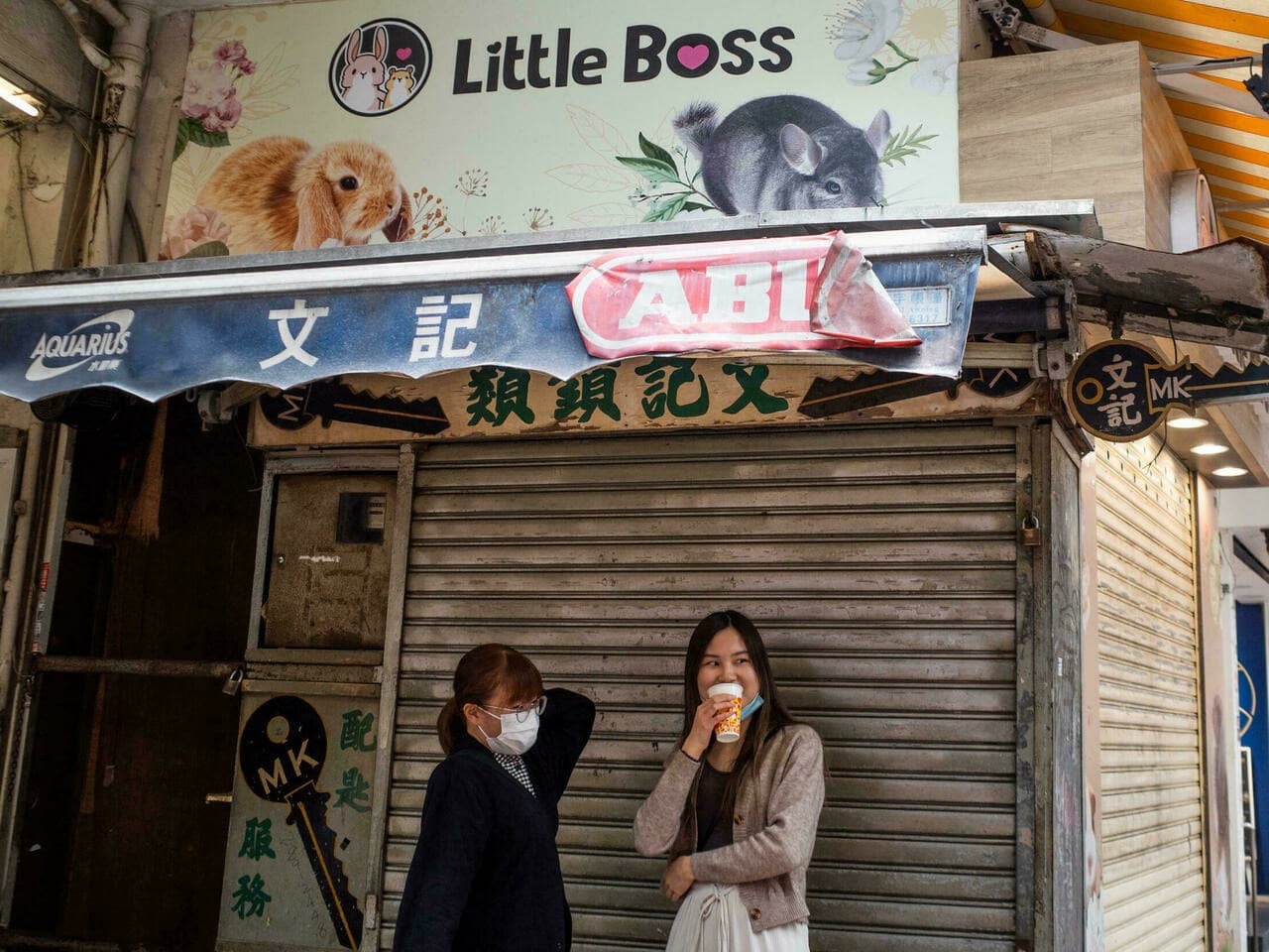 Hong Kong decide sacrificar hámsteres