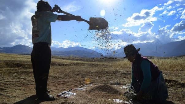 Agricultores denuncian que importadoras tienen más beneficios