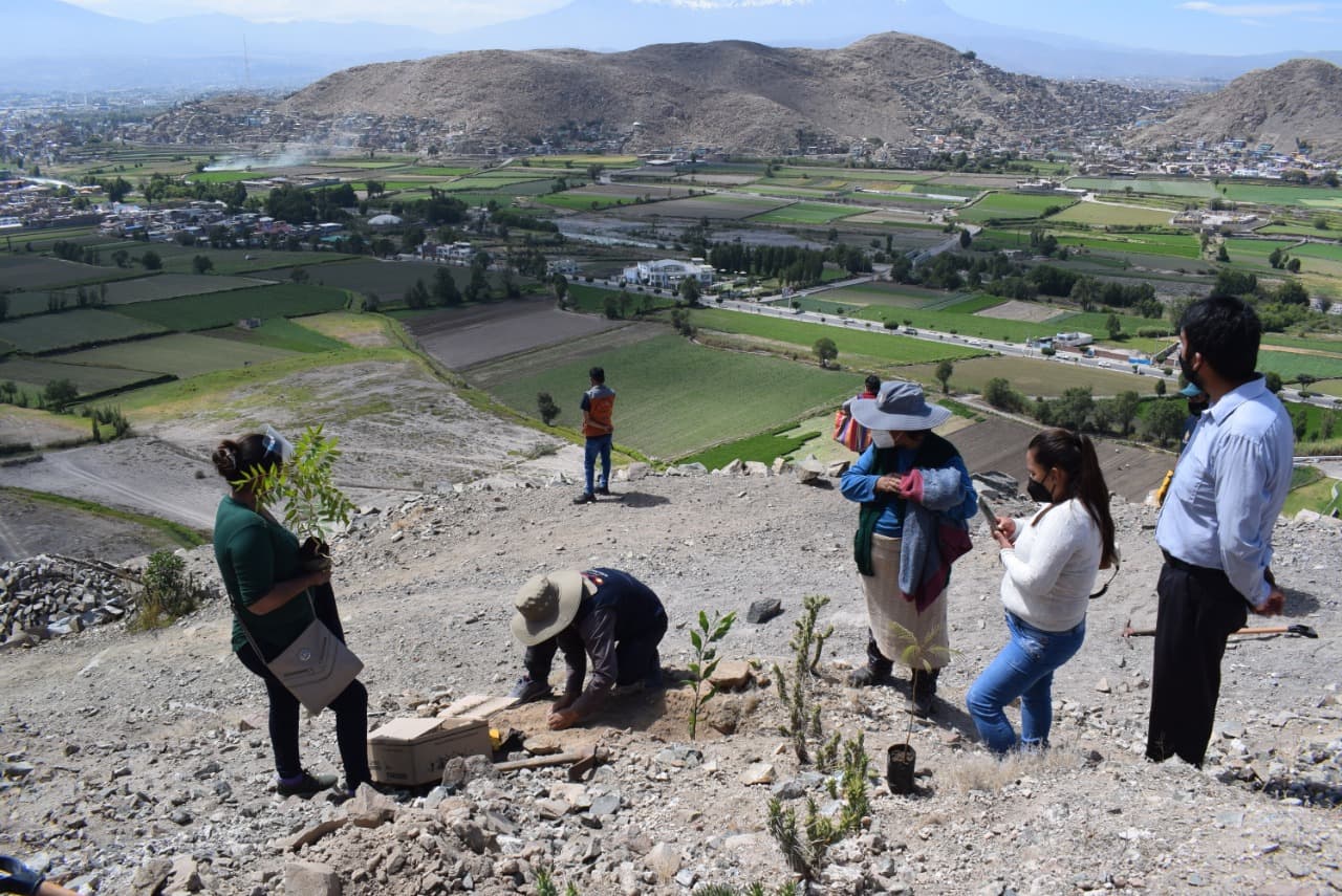 Sachaca: Entrega 350 árboles por el Día Internacional de la Tierra