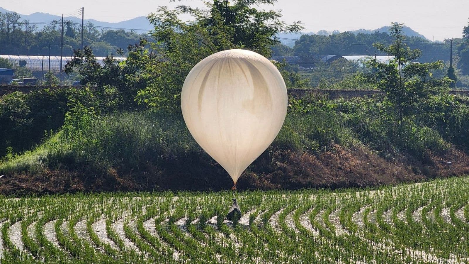 Acusan a Corea del Norte de lanzar globos con desechos