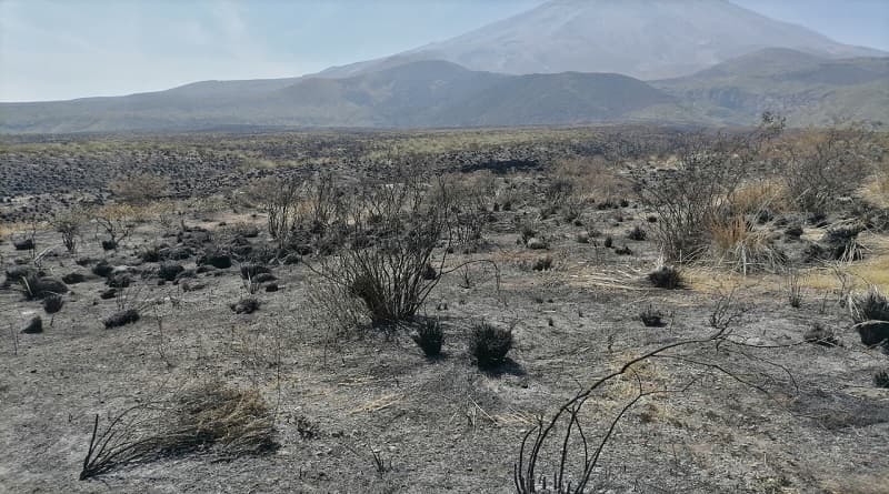 Incendio forestal arrasó más de 270 mil hectáreas