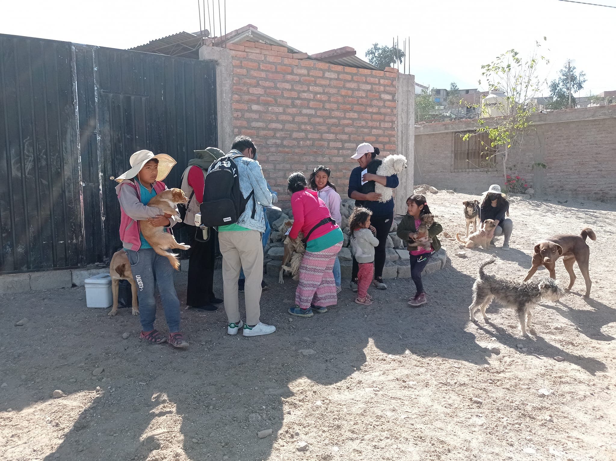 Vacunan a más de 6 mil perros contra la rabia