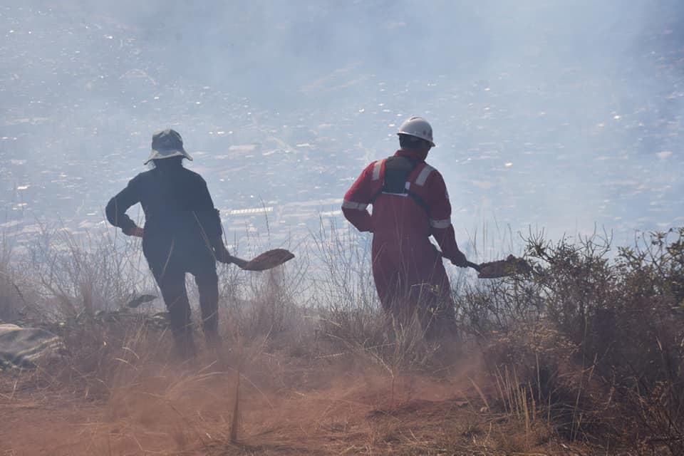 Incendio arrasa 120 hectáreas de áreas naturales en Cusco