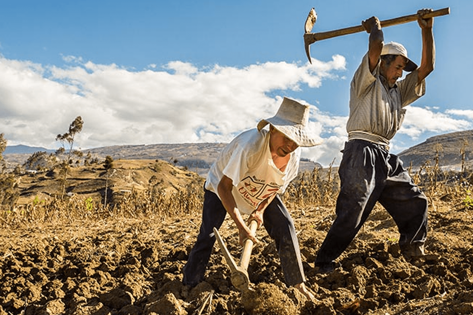 Pobreza caería más de dos puntos por crecimiento económico en 2025