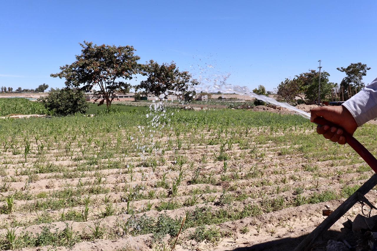 Instalan redes de agua potable para agricultores de La Joya