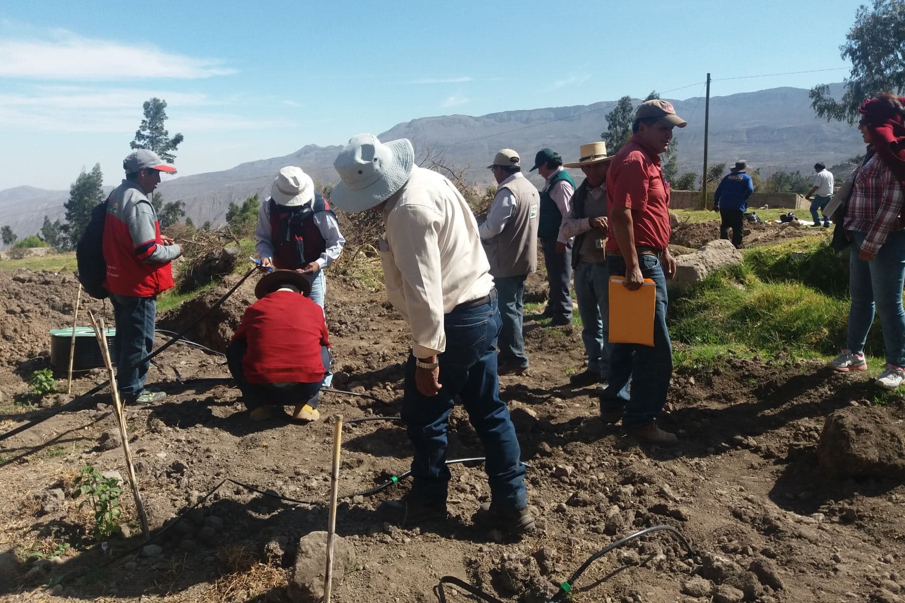 Agriculturas de Arequipa afectados por la suba de los fertilizantes