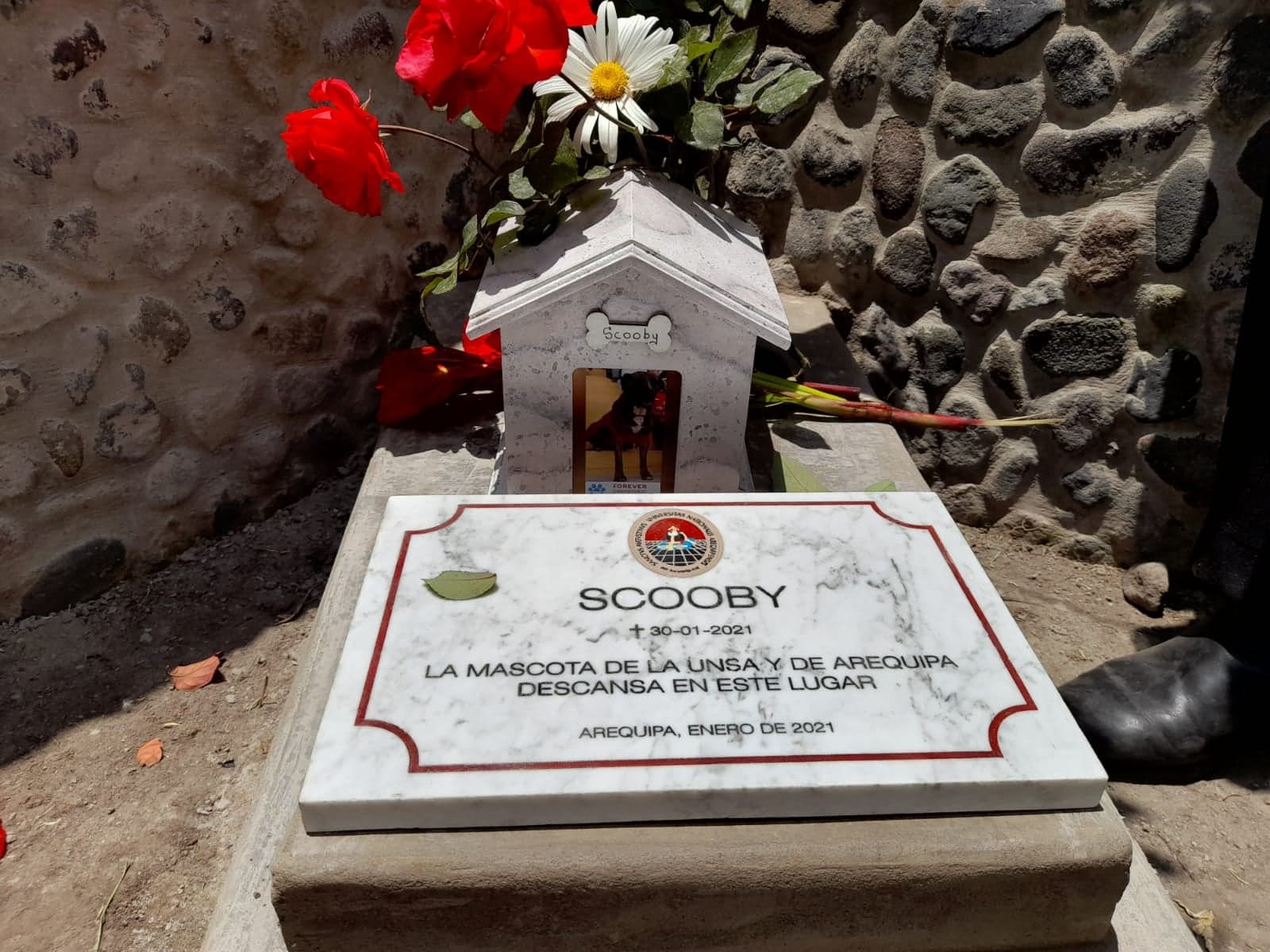La despedida final de Scooby