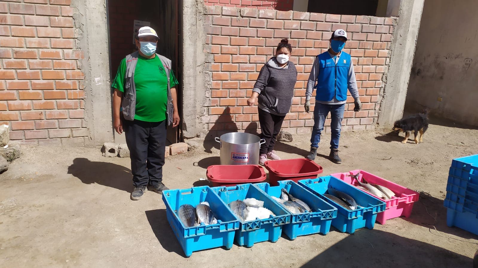 Cayma: Casi 1 000 kilos de pescado para ollas comunes