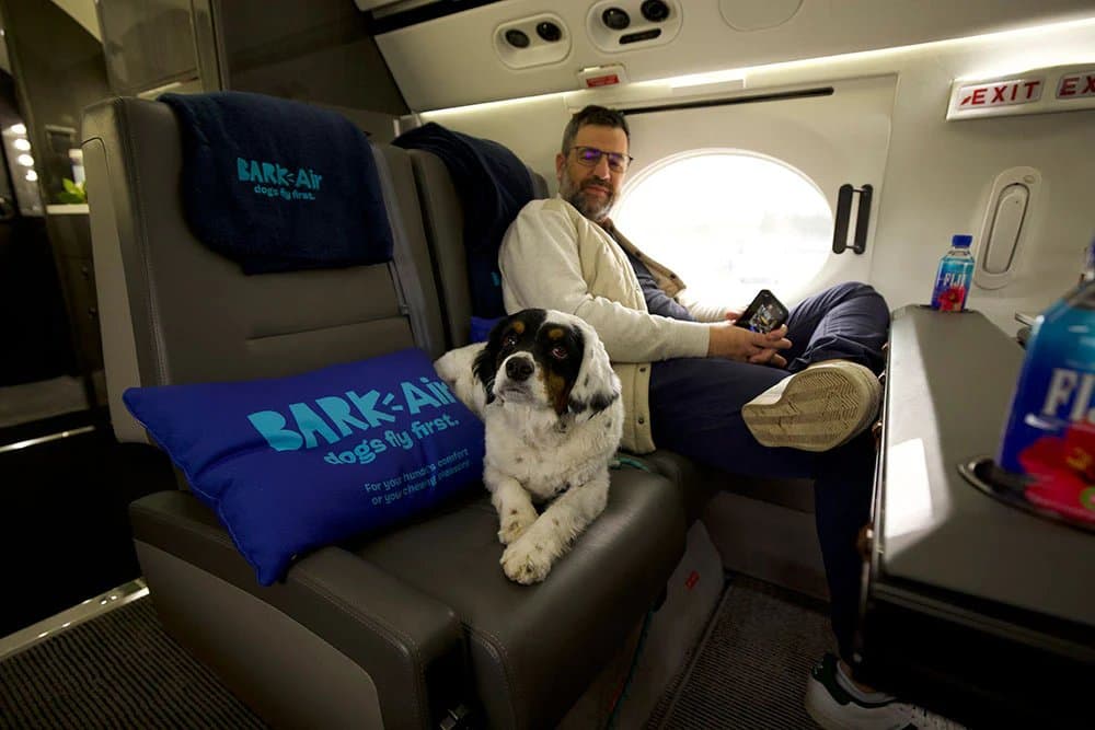 Presentan la primera aerolínea exclusiva para perros