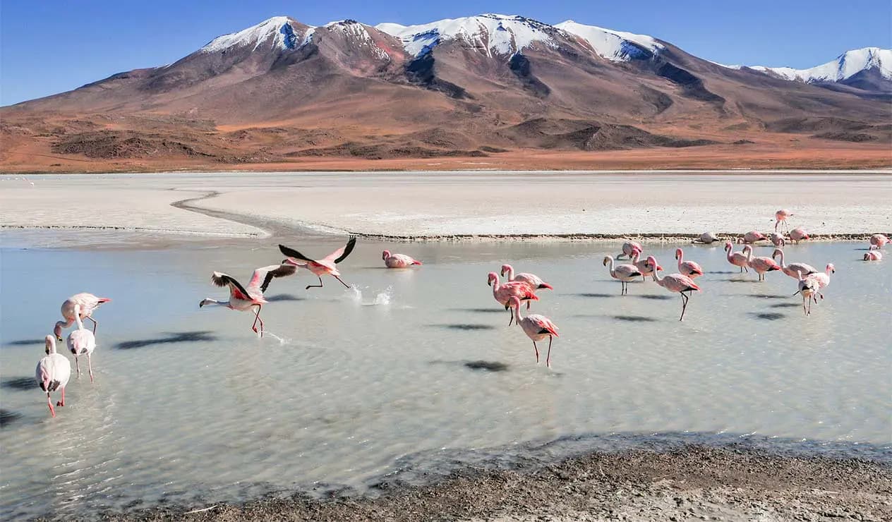 Turismo interno generará más de US$ 7,500 millones en 2026