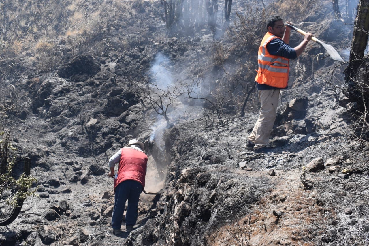 Incendio forestal en Chachas afectó cerca de 19 hectáreas