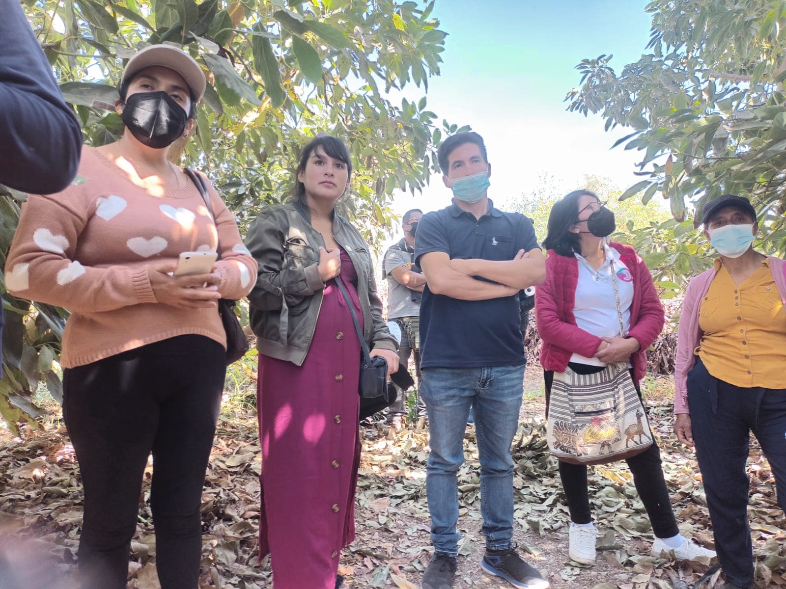 Trabajadores de Ica visitan plantaciones en El Pedregal