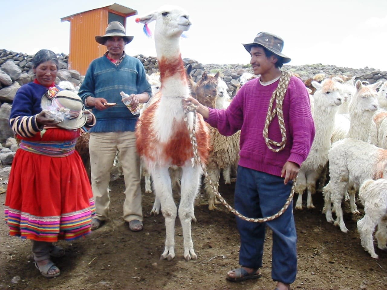 Comunidad campesina de Pucuncho obtendrá titulación