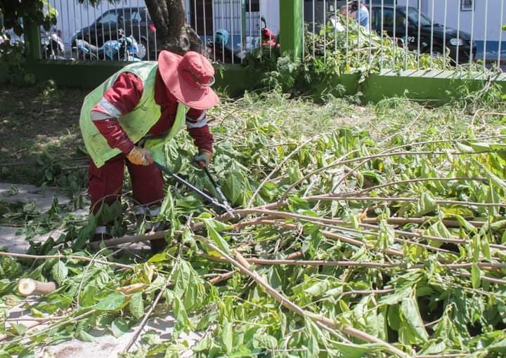 Inician poda de árboles ante cercanía de lluvias