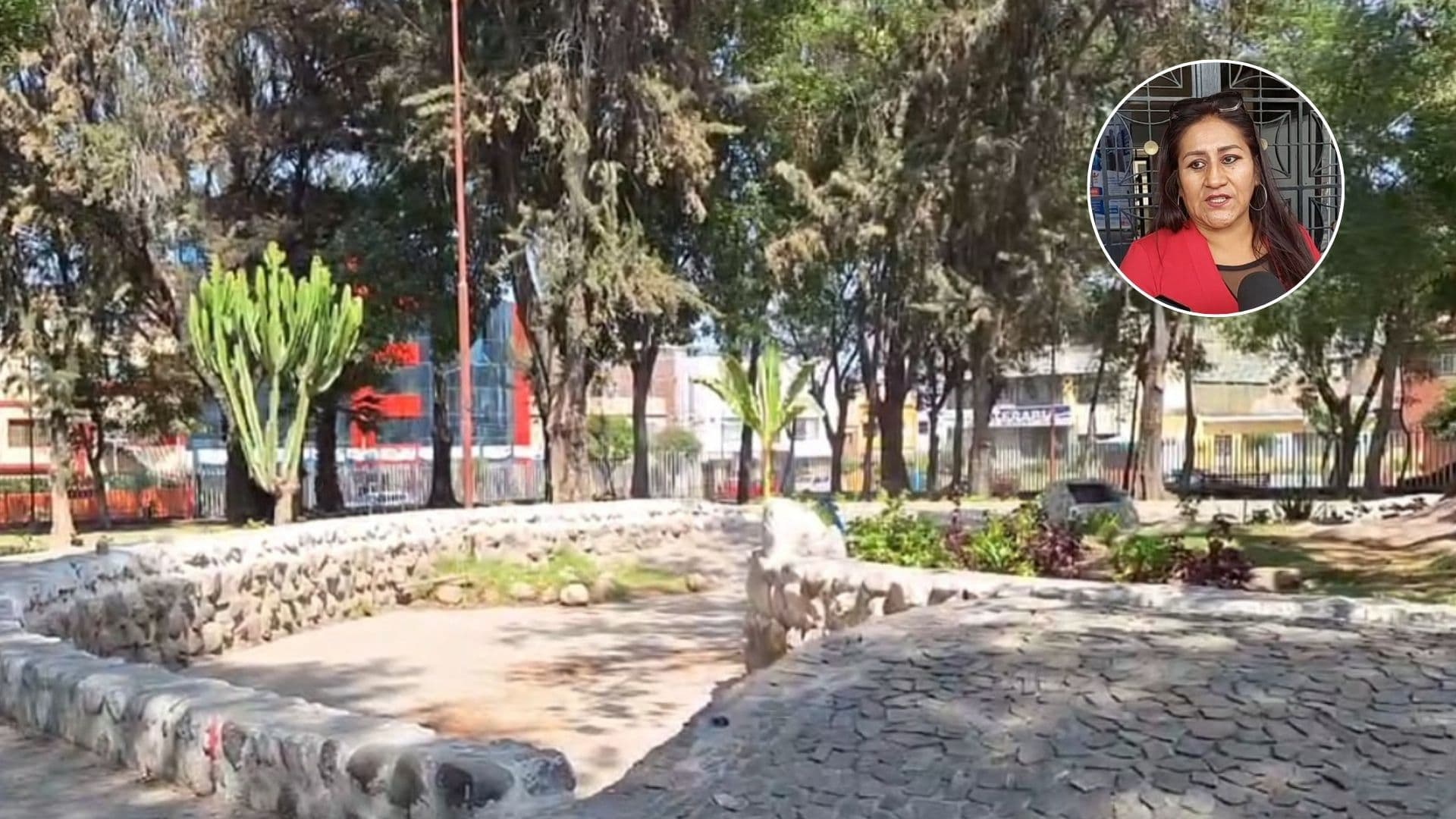 Solicitan a Rivera retroceder en proyecto de parque Las Condes