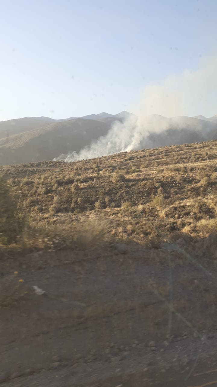 Registran incendio forestal en queñuales de Chiguata
