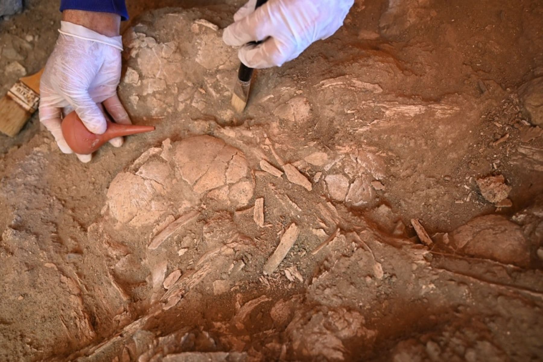 Hallan 7 cráneos humanos en el sitio arqueológico Montegrande