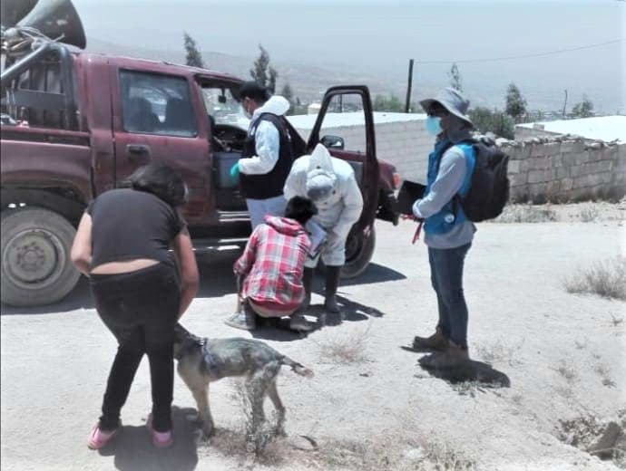 Detectan nuevo caso de rabia en Cerro Colorado
