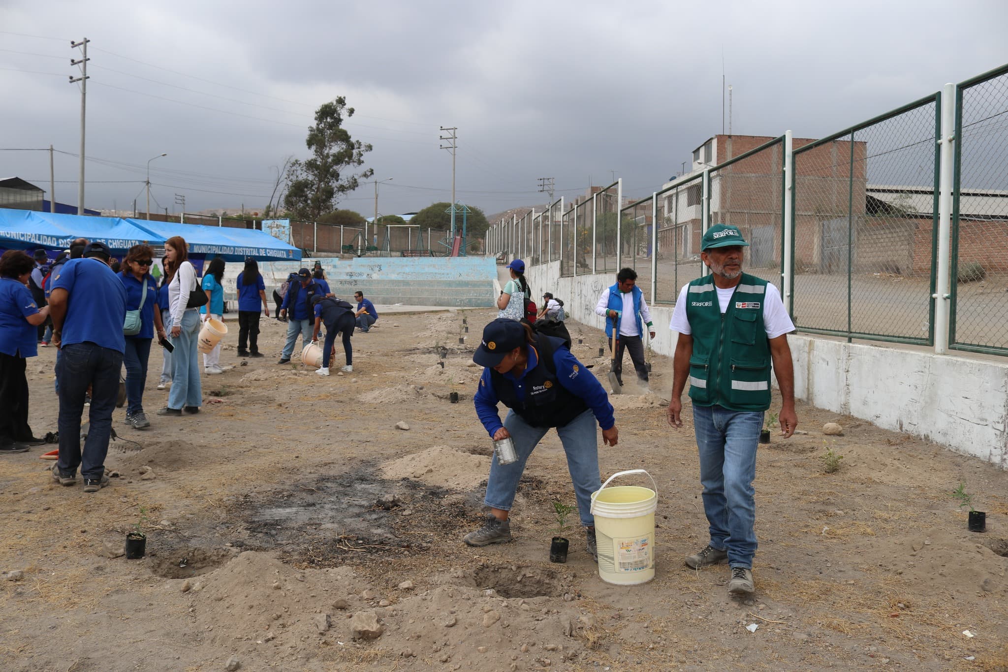 Iniciativa forestal logró sembrar 30 mil árboles nativos en Arequipa
