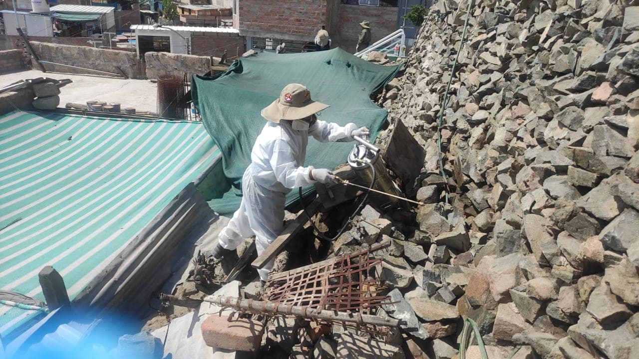 Tiabaya en alerta sanitaria tras brote de chirimachas en casas