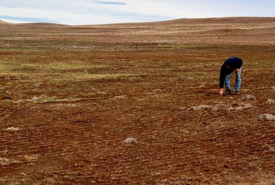 El Niño Global causará sequías en el sur y selva, y lluvias en el norte
