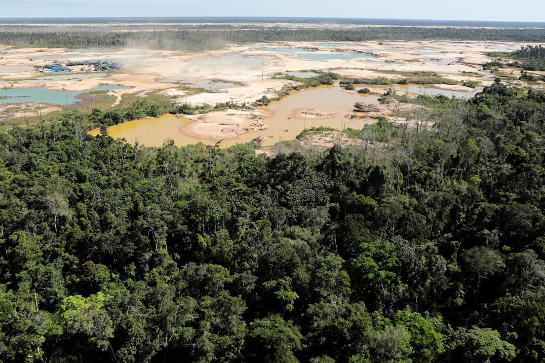 Invertirán 50 millones de dólares para reducir deforestación