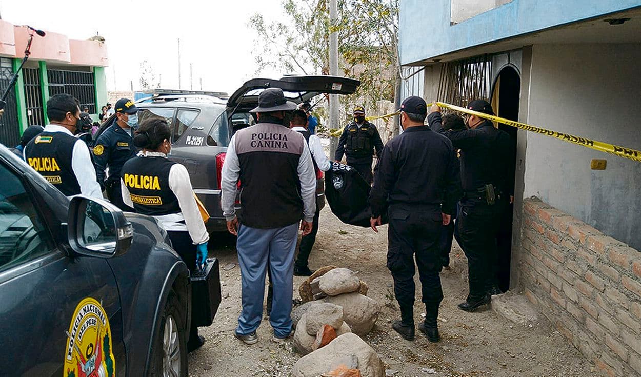 Sacrificarán a canes que atacaron a niño