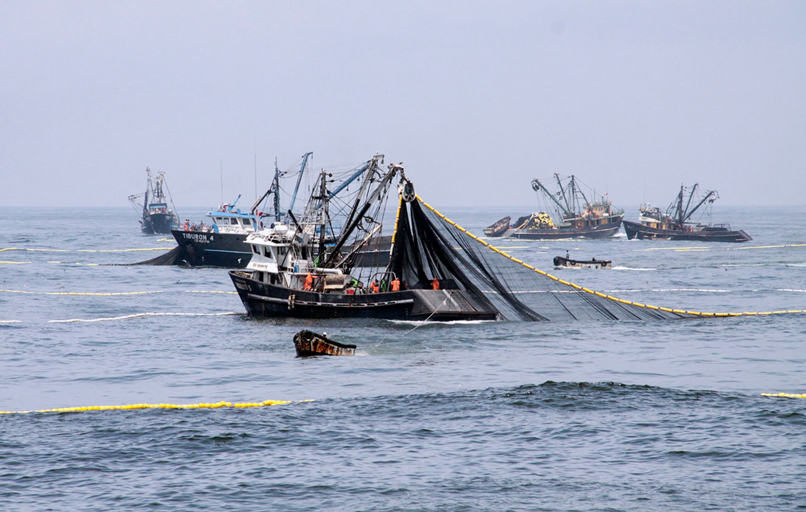 Suspenden pesca de anchoveta ante avance de El Niño Costero