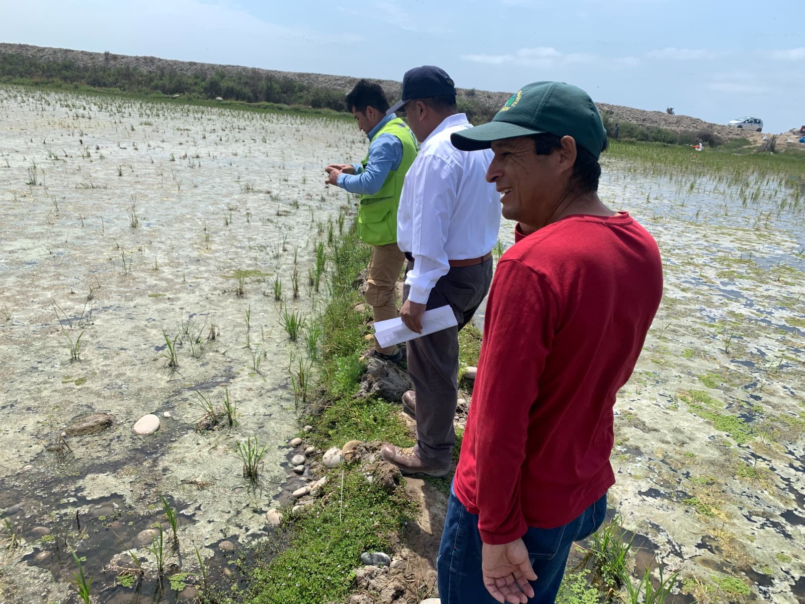 Doce agricultores de Arequipa fueron favorecidos con el SAC