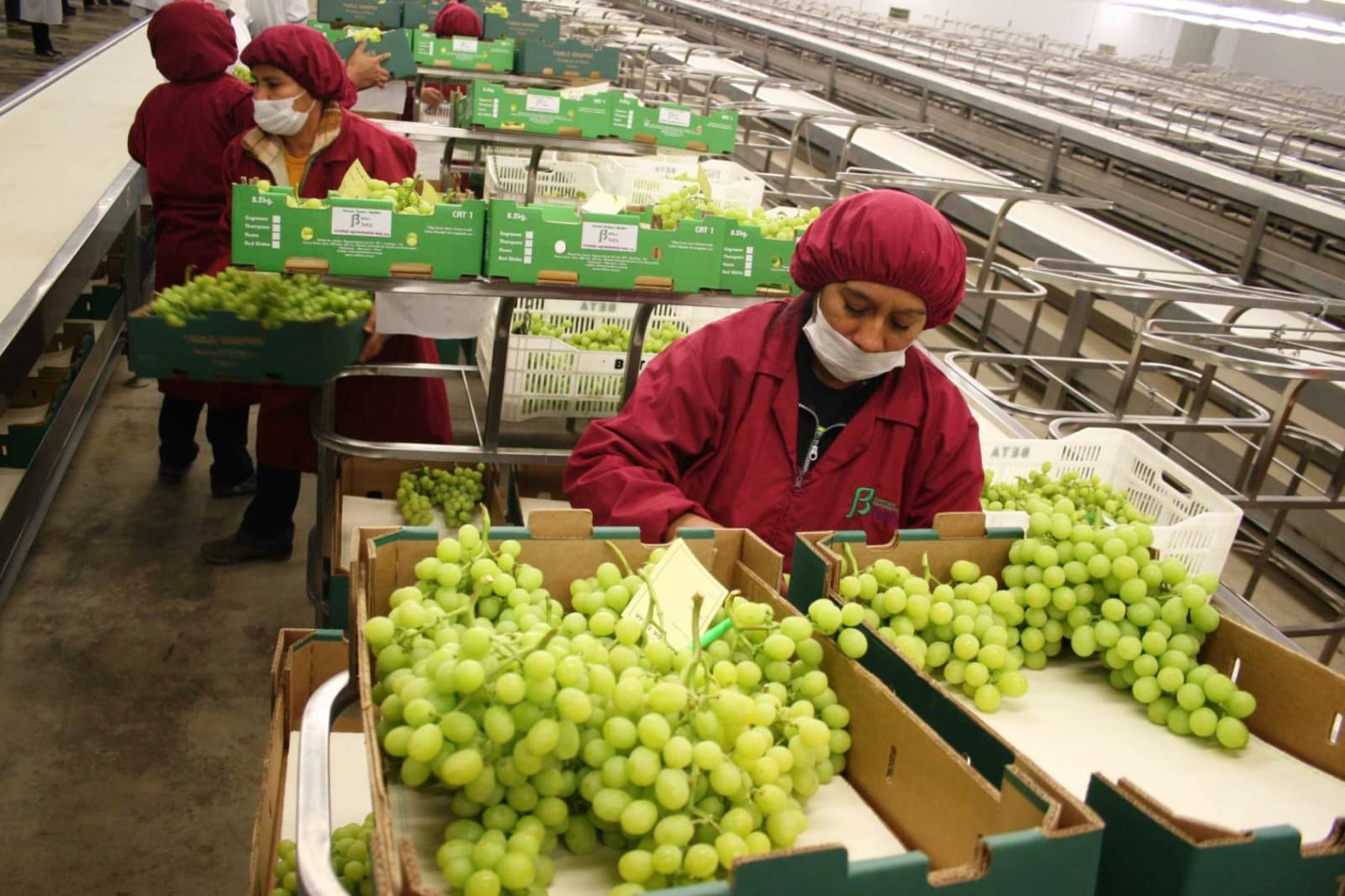 En 2023 operaron más de 8 mil empresas exportadoras peruanas