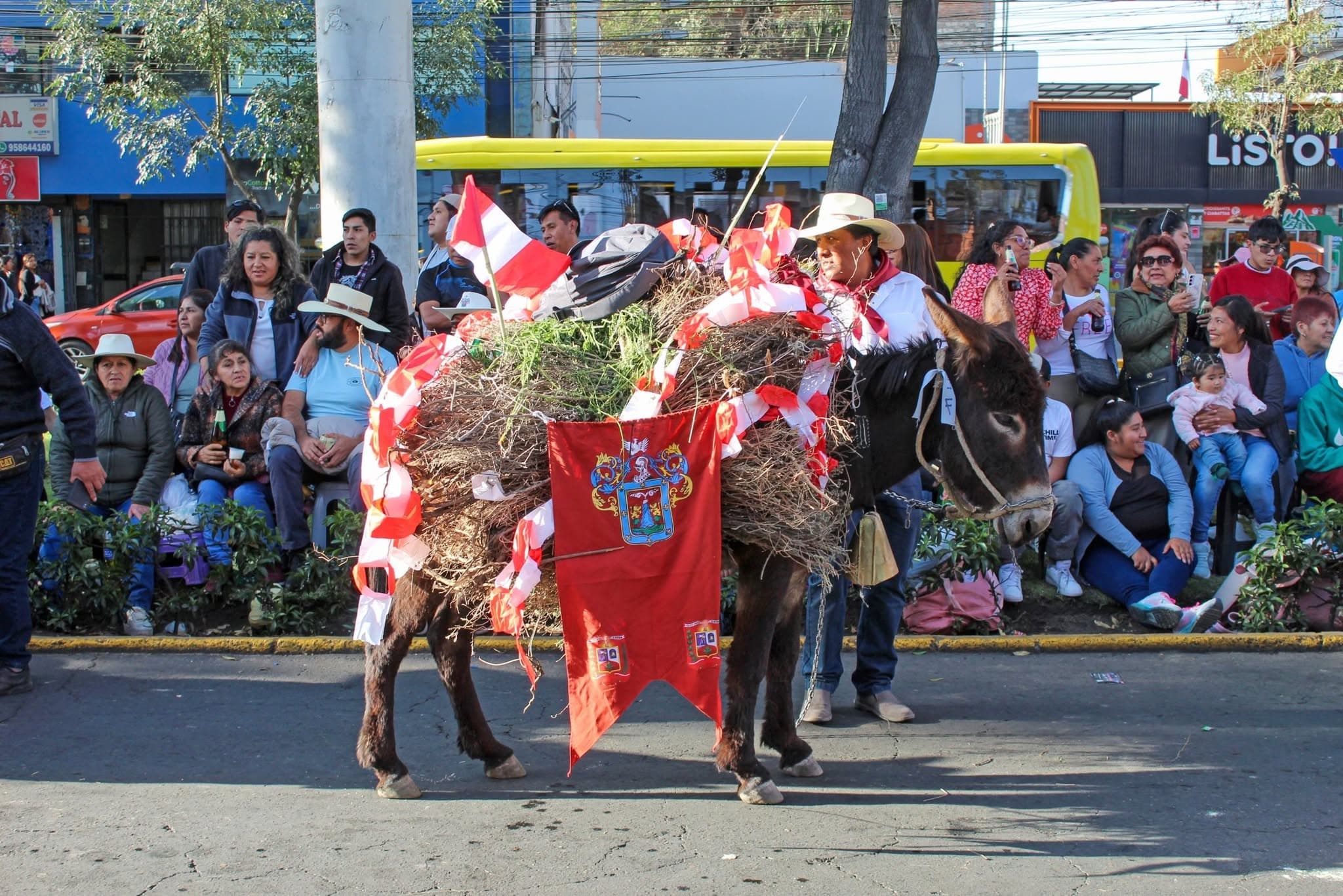 Tradicional Entrada de Ccapo recorrerá calles de Arequipa
