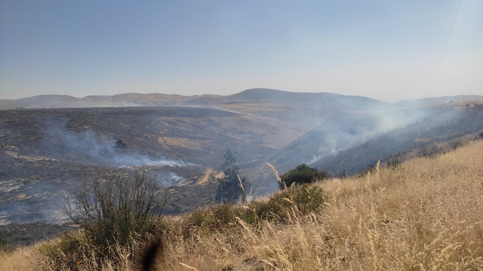 Incendios forestales destruyen tierras de distritos arequipeños