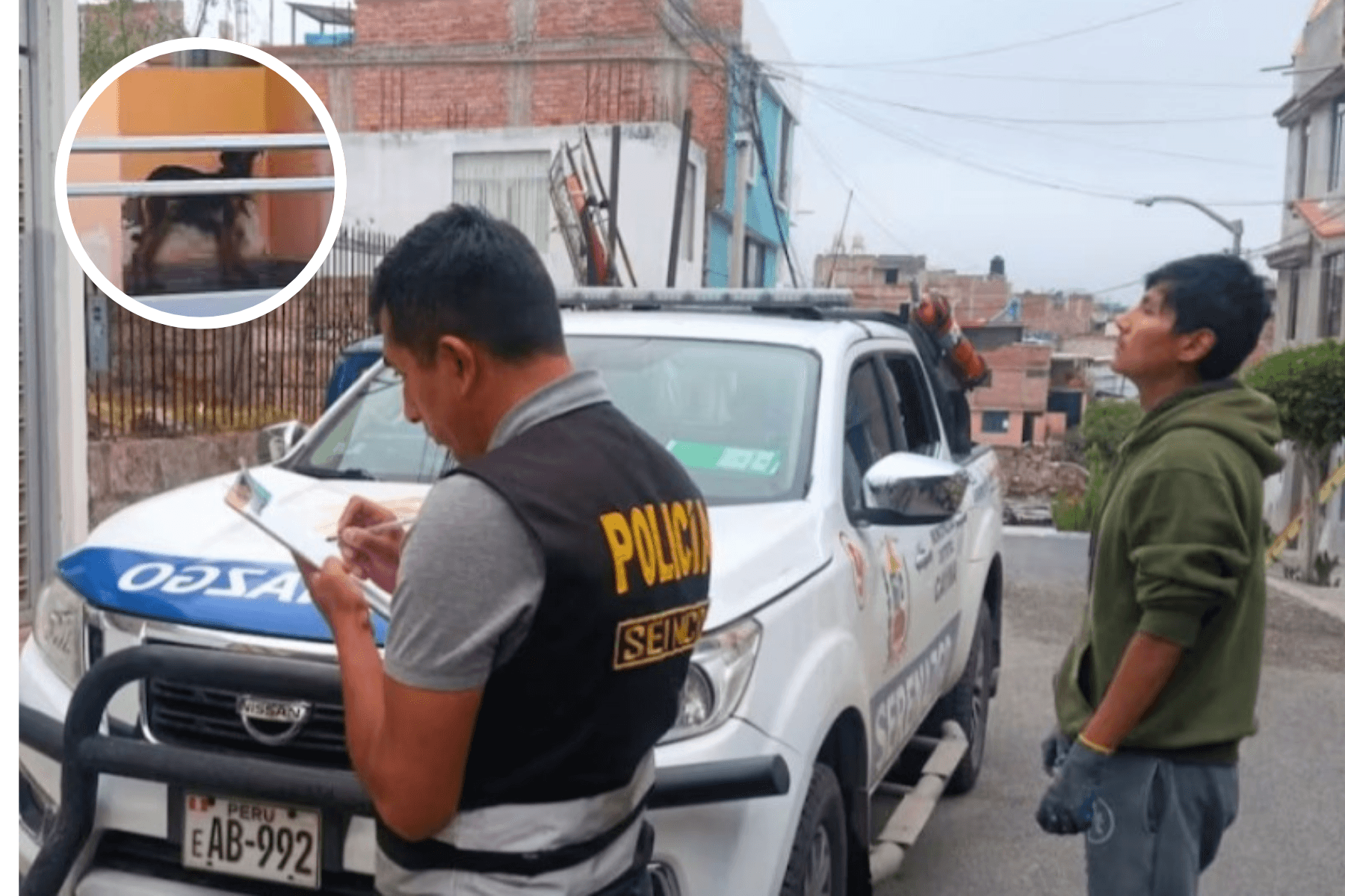 Policía rescata a perro en situación de abandono
