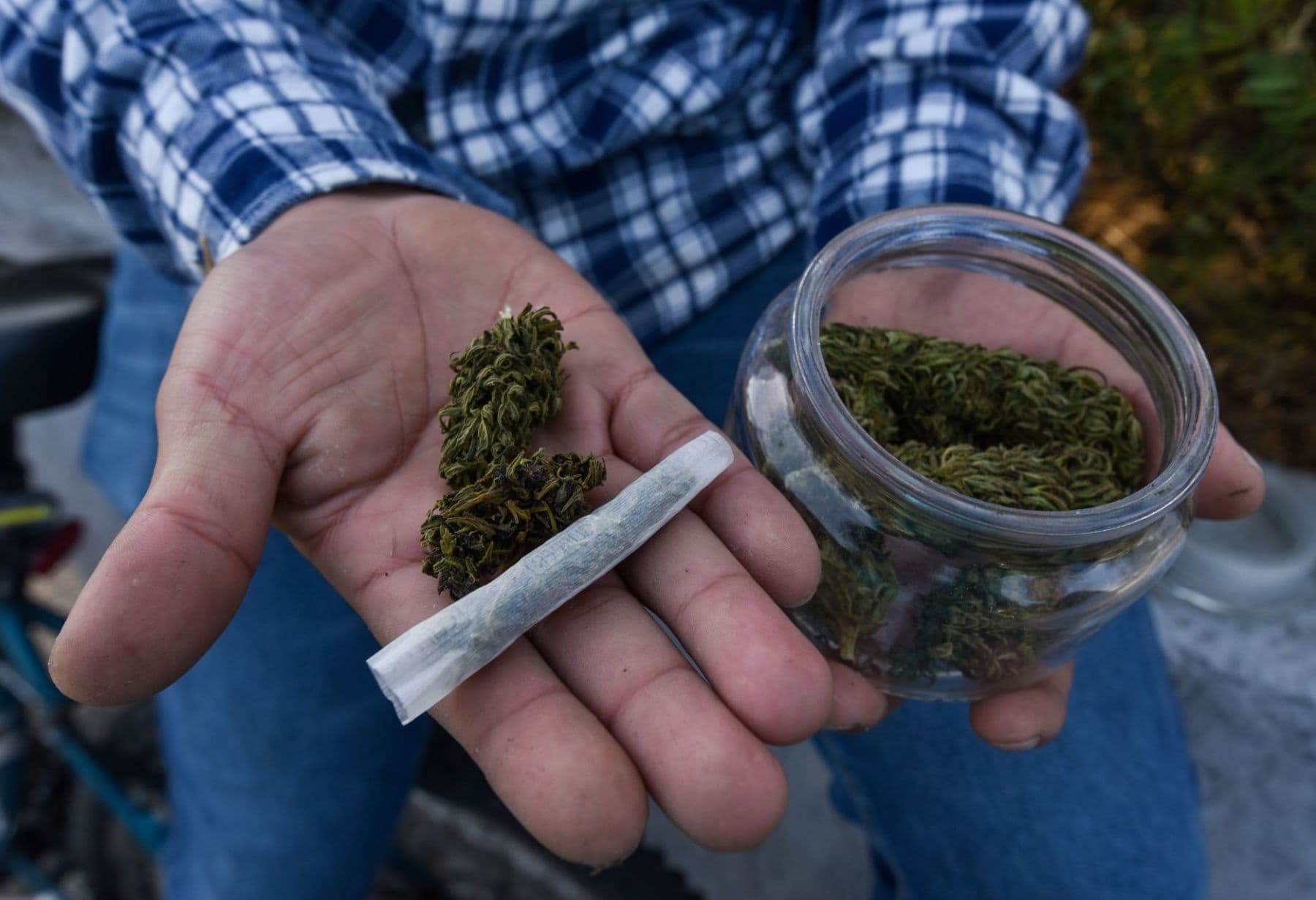 EE. UU. regalará marihuana a quienes se vacunen contra la COVID-19