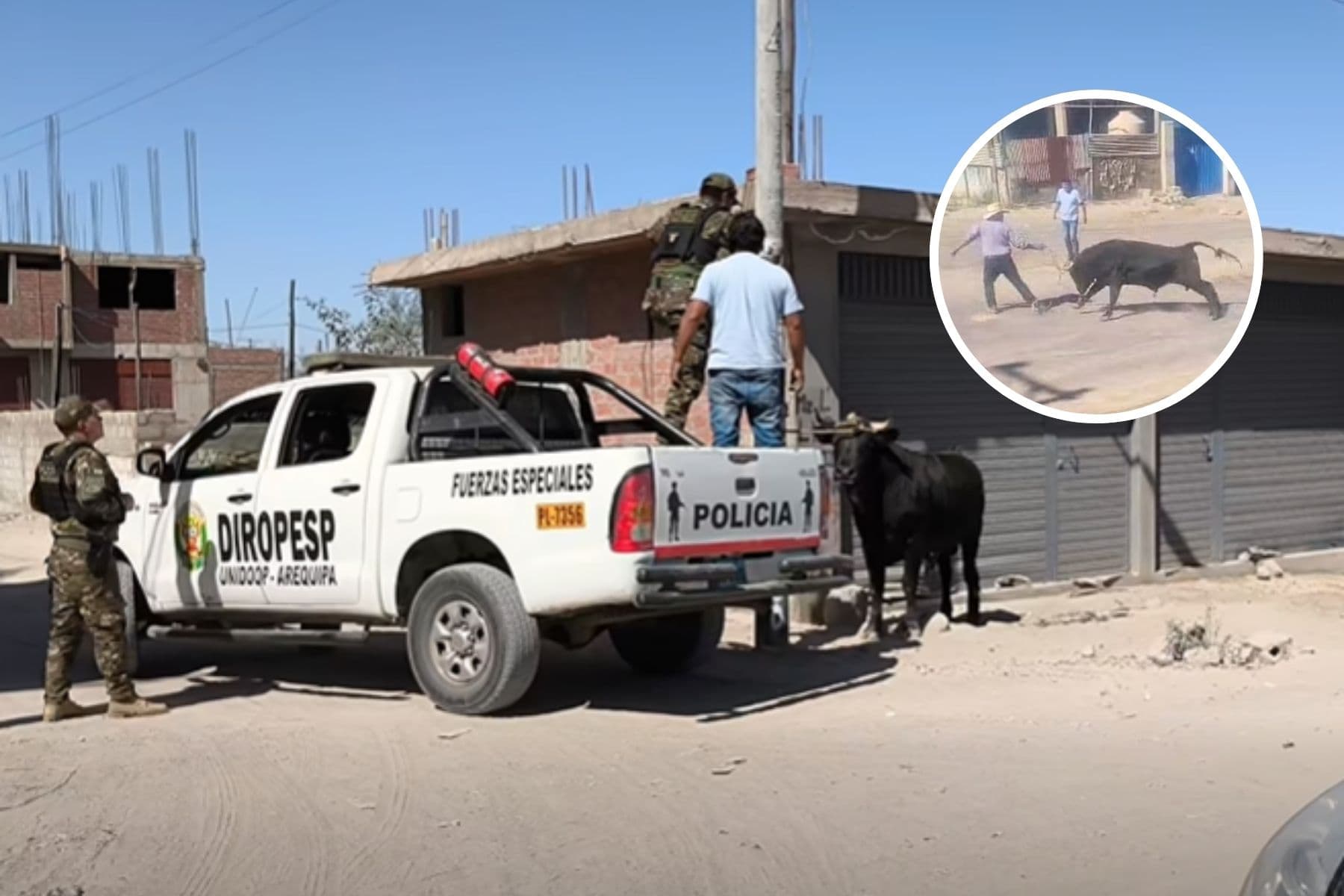 Toro embiste a su cuidador y desata pánico en Apipa