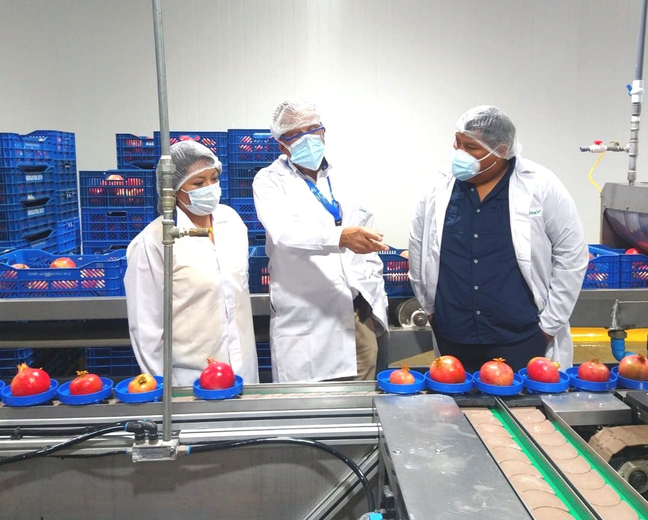Agricultura: construirán tres centros de packing en Arequipa