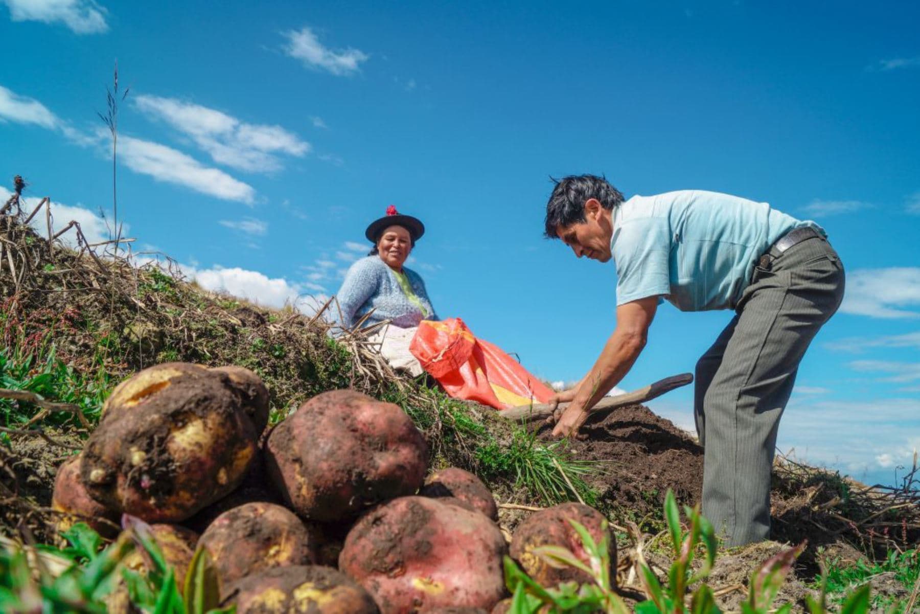 Sector agropecuario tuvo un crecimiento de 4 % en enero
