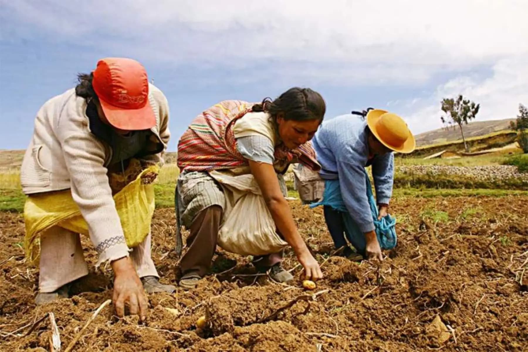 Comunidades rurales presentan propuesta para recuperar la agricultura