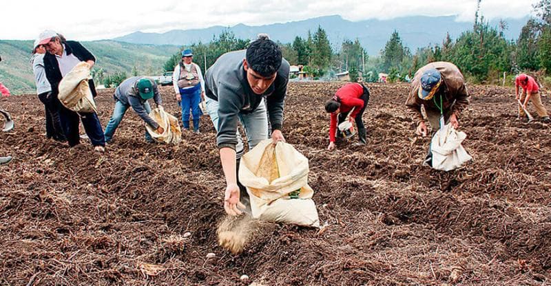 Plantean reducir siembras en 20% ante carencia de agua
