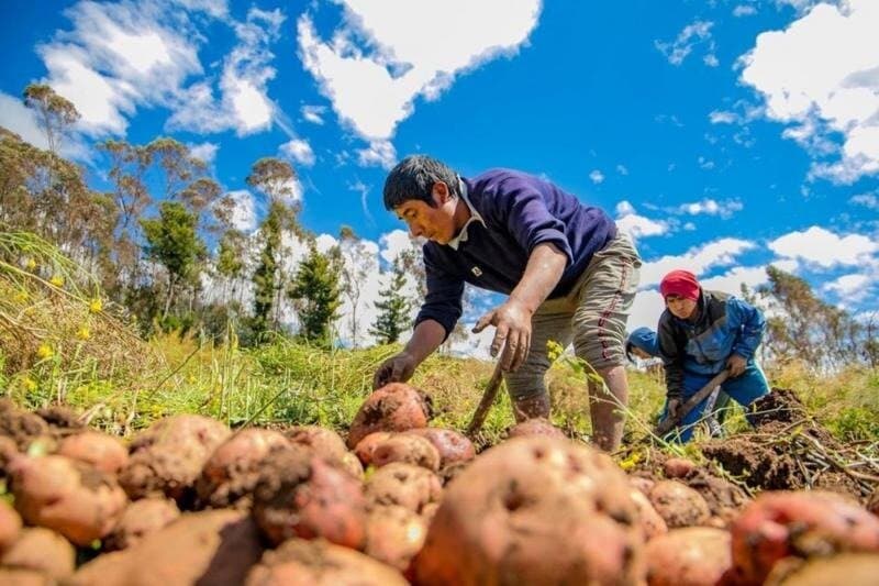 Las represas tienen agua hasta para la campaña agrícola 2026