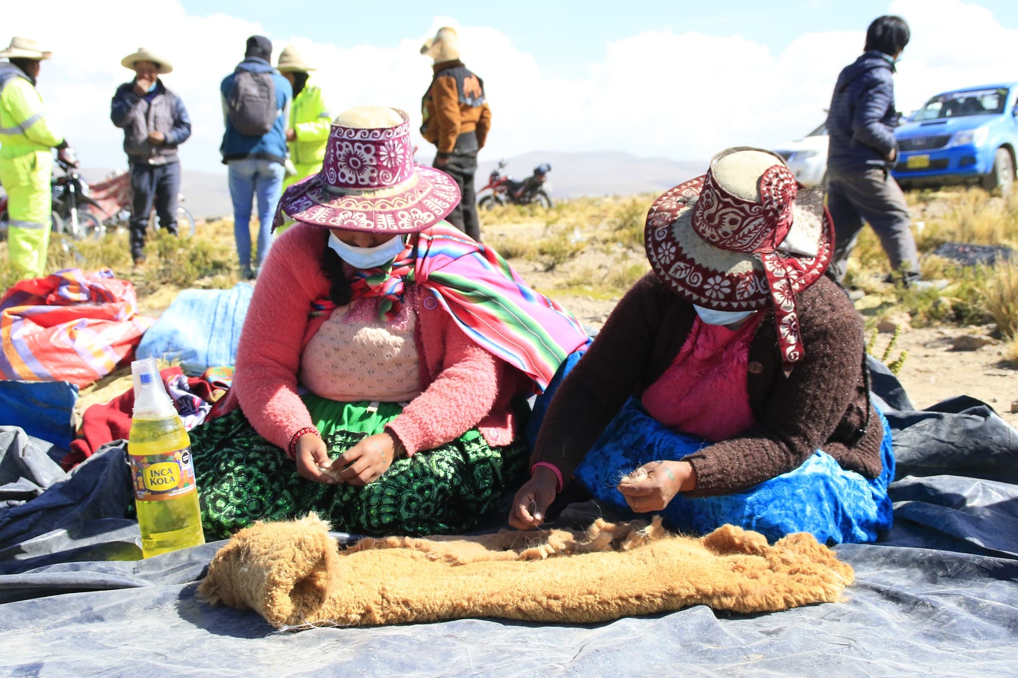 Se completó satisfactoriamente el festival “Chaccu de Vicuña”
