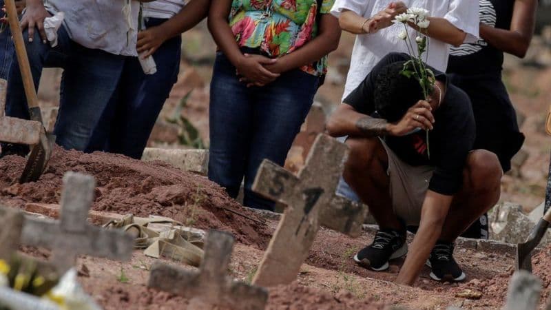 “Brasil es como un Chernobyl o Fukushima biológico”