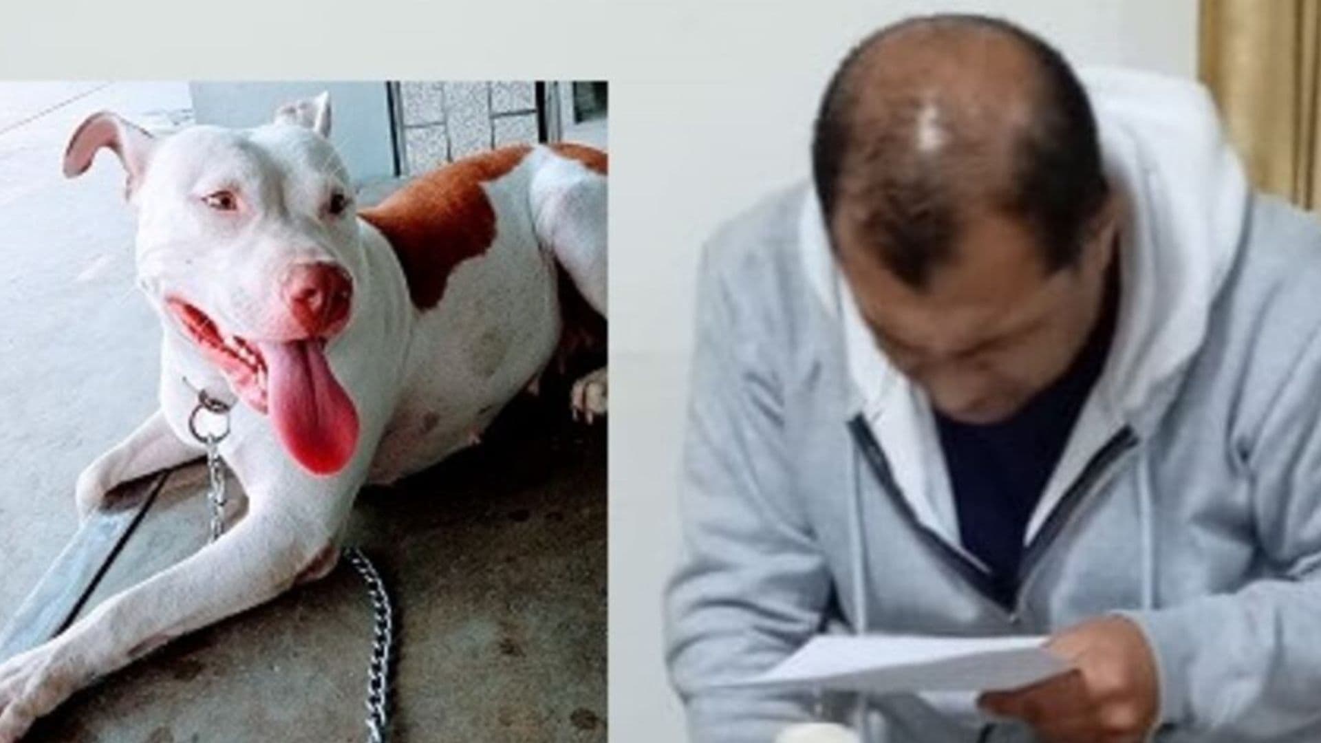 Policía dispara a perrita que se acercó a olfatearlo