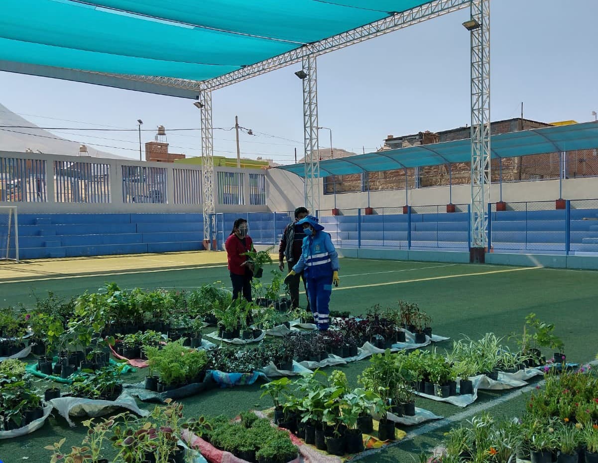 Realizarán campaña de venta de plantas ornamentales en Miraflores