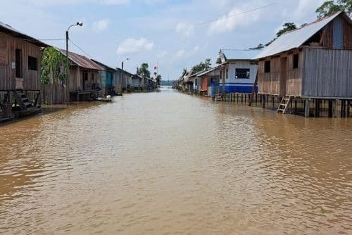 Alrededor de 6 mil damnificados dejó desborde del río Ucayali