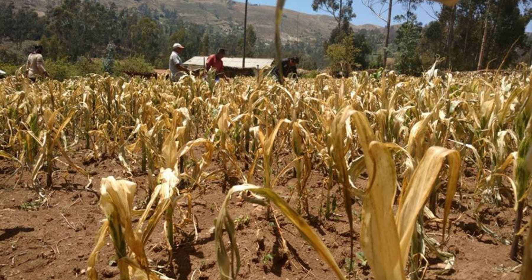 Advierten que precipitaciones disminuirán al 50% en Arequipa