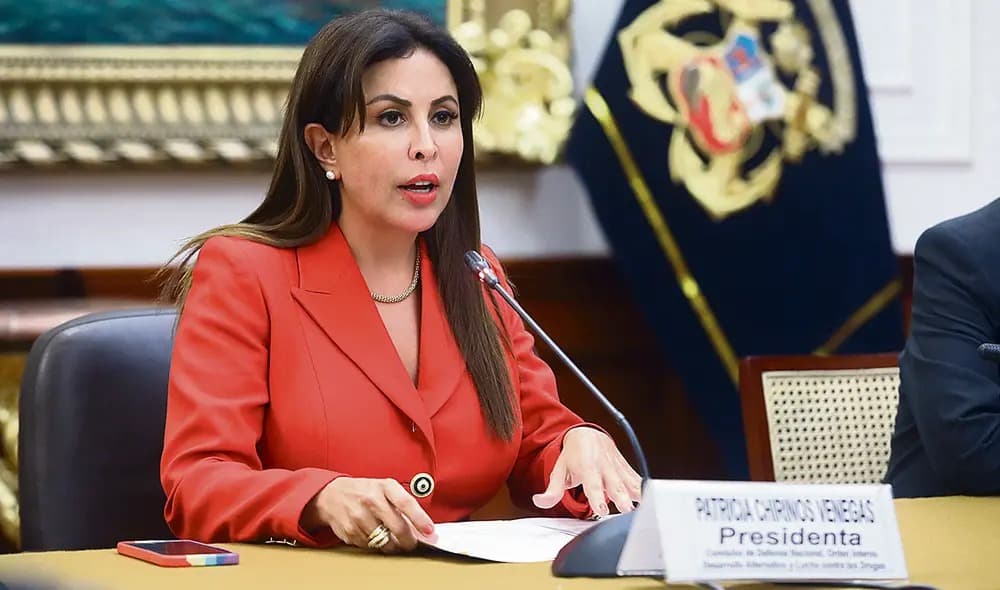 JEE del Callao frena postulación de Patricia Chirinos al Senado