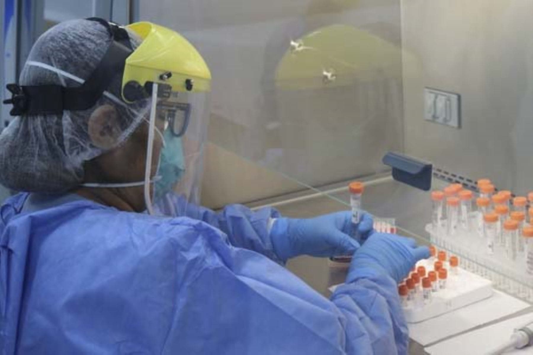 Cinco nuevos casos de viruela del mono en pacientes locales