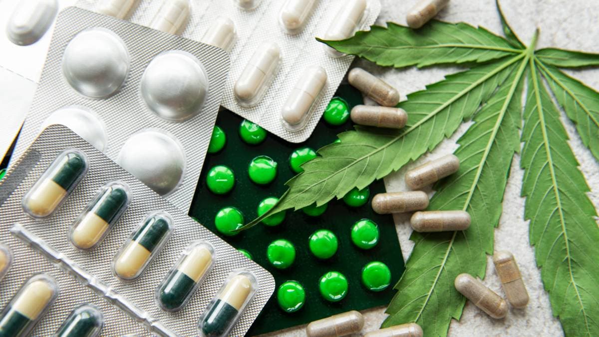 ¡Cuidado con automedicarse con cannabis medicinal!