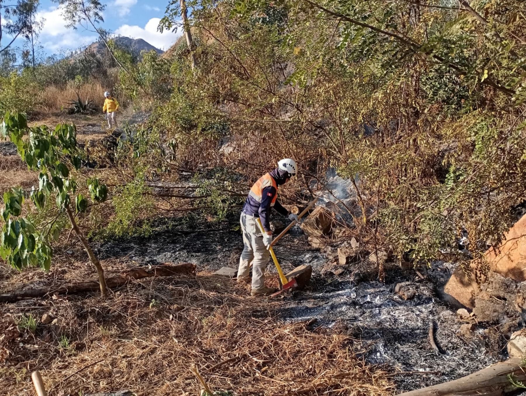 Incendio forestal arrasa veinte hectáreas de cultivo en Curgos
